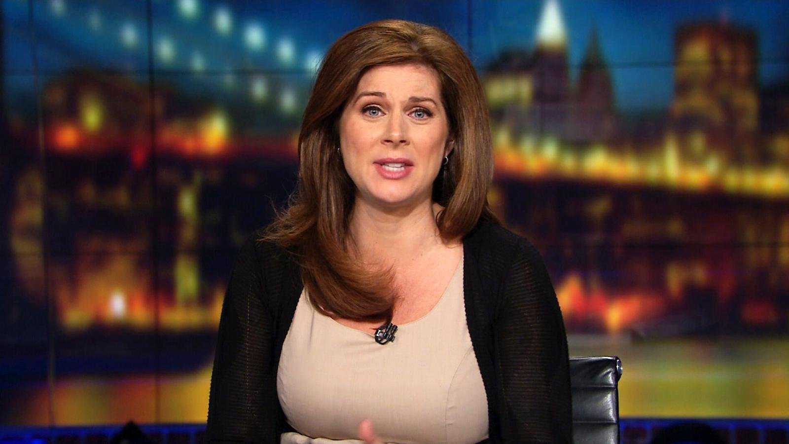 Erin Bio, Age, CNN, Nationality, Mother, Husband, Kids, Net